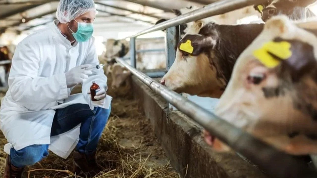 Efelerin 22 Mahallesinde Karantina Sona Erdi 634394 5C95F1Cd9E7025677Adbe722742Df5A9