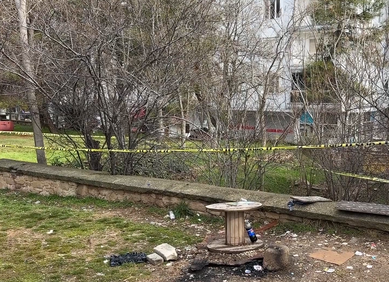 Ekran Görüntüsü 2026 01 25 162446