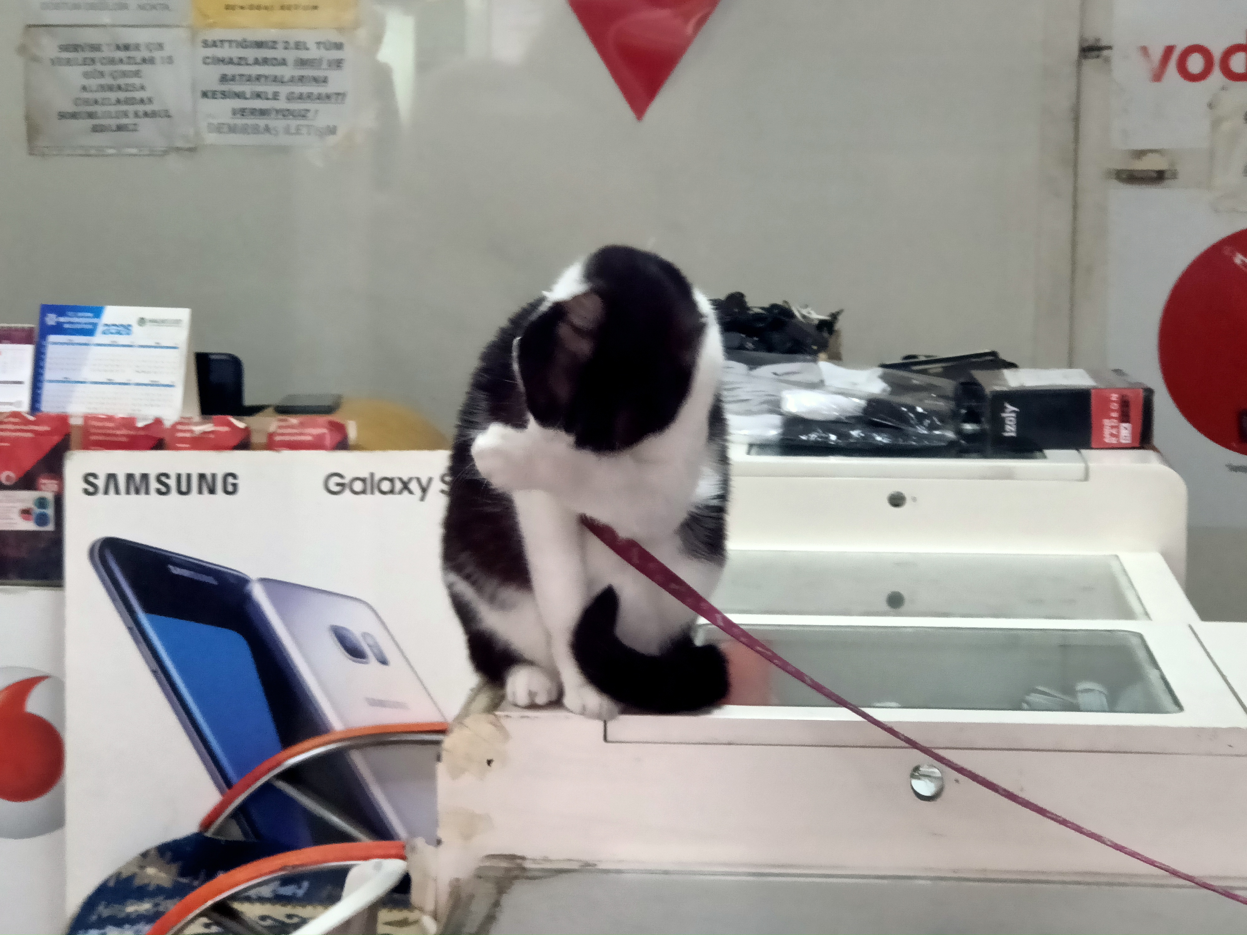 Esareti Bitti 628779 6E57C371759B104D92D8Da08368A7232