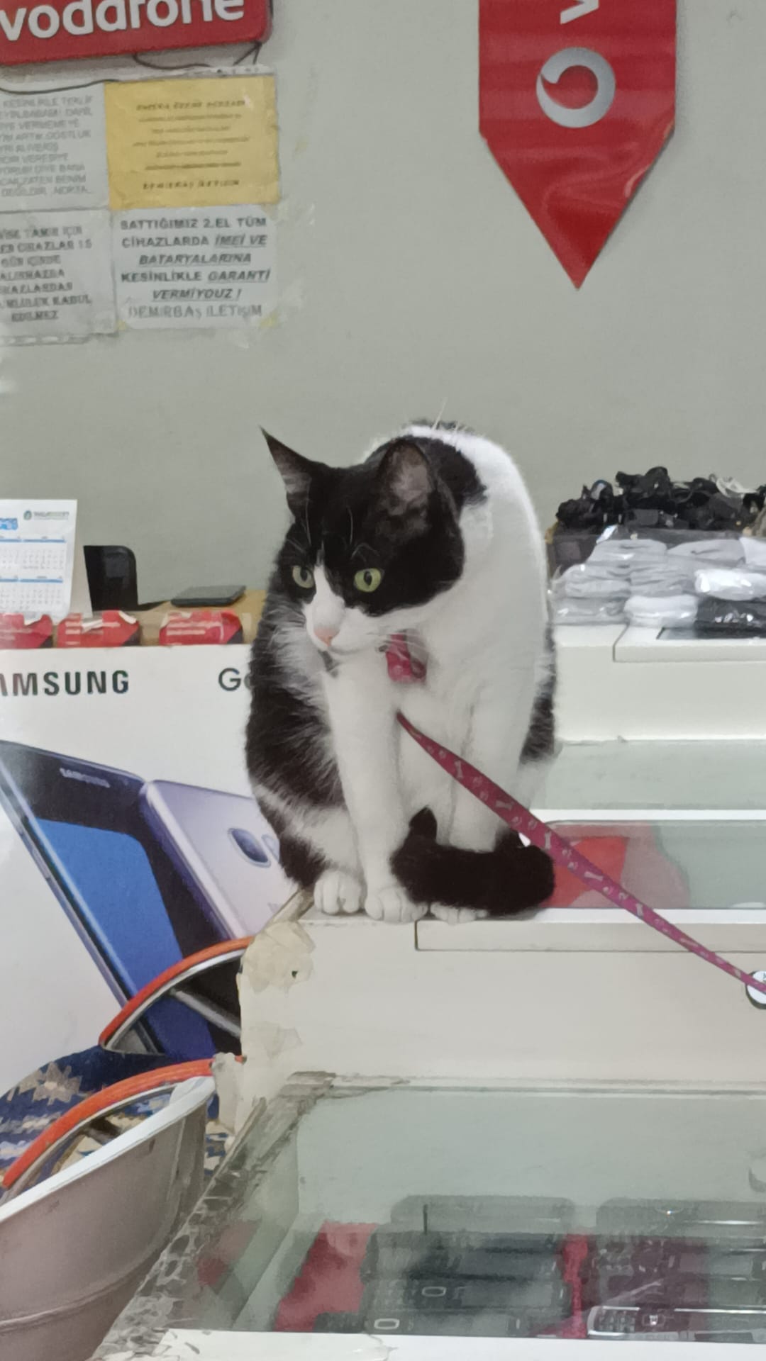 Esareti Bitti 628779 A92C6Dd5C602991807Fa9Fdf9B868860