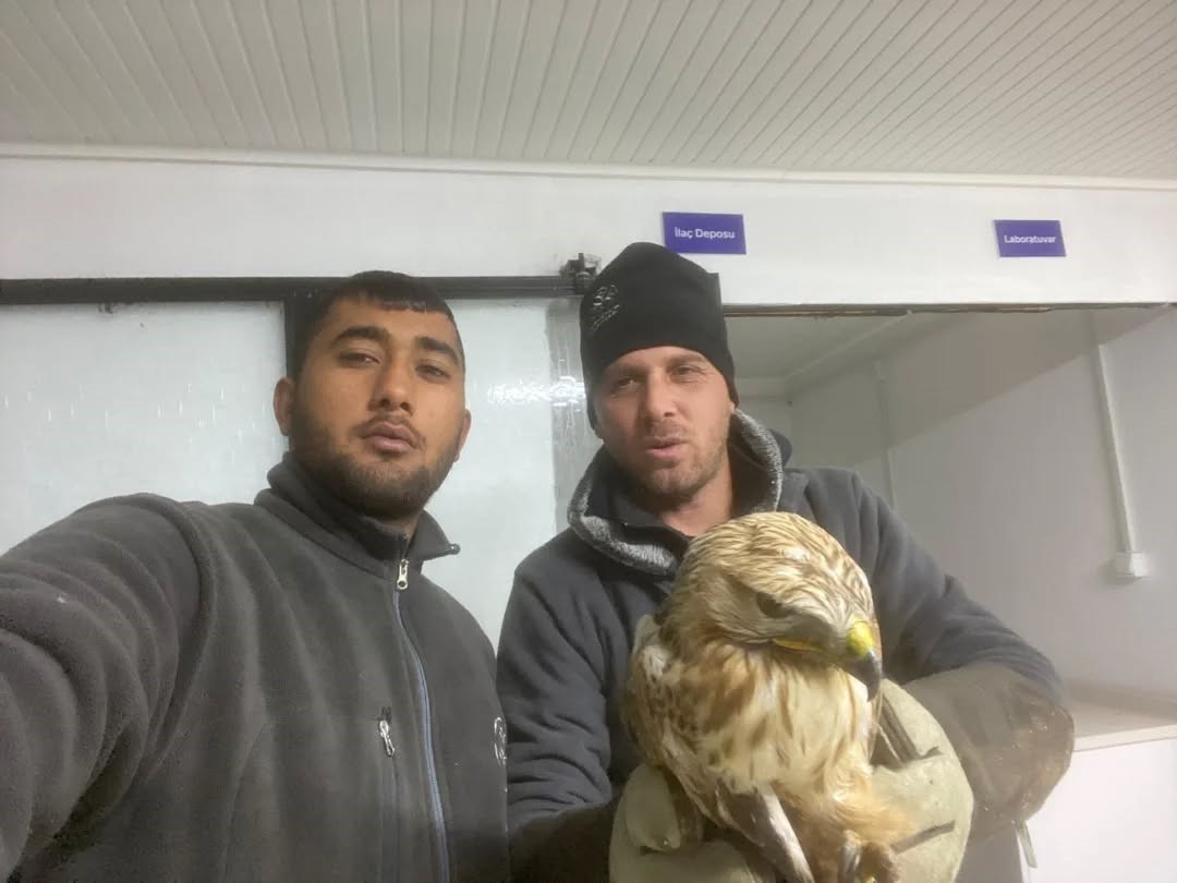 Germencikte Belediyenin Ihbar Hatti Yaban Hayvanlarina Da Umut Oluyor 46Afffa96Fbe6Cd2504200A139Eafcd1