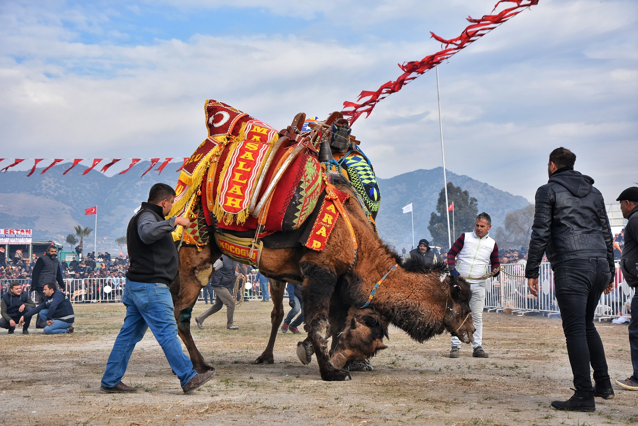 Gures Yok Ama Deve Heykeli Acilacak 627440 60929863C34295C53186F72E1Fc90B24