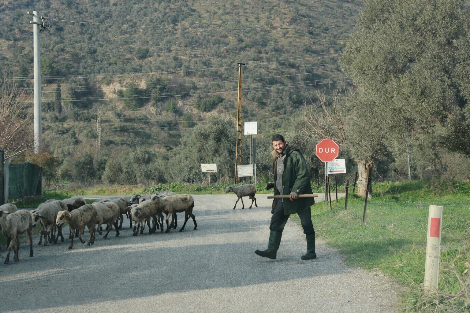 Havalar Isindi Suruler Dogaya Salindi 284A0A57D6Bd555E312D4Aadce850F7A