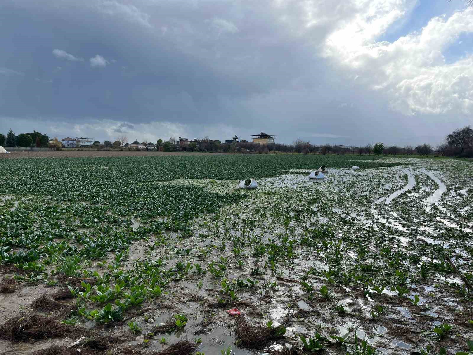 Incirliovada Saganak Yagis Hayati Olumsuz Etkiledi Bc967F30141F148041C8D83F2Fd84261