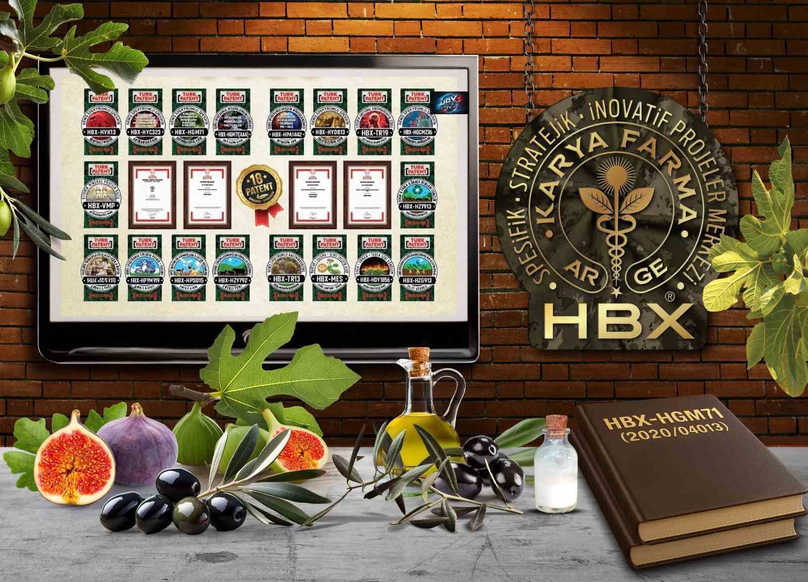 Karya Farma Hbx Ar Ge Incir Ve Zeytin Bilimsel Arastirmalar Akademisi Kuracak Fc39E772De43Fdf2866955Ced18Bc6A2