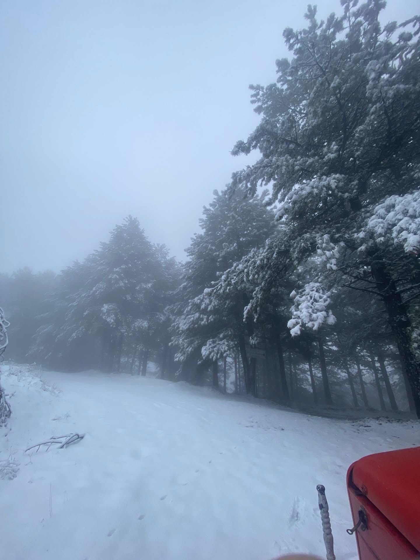 Kim Demis Nazilliye Kar Yagmaz Diye Bu Goruntuler Nazilliden 629693 15Eaea11480E0B1866288A4F3Ca766E6