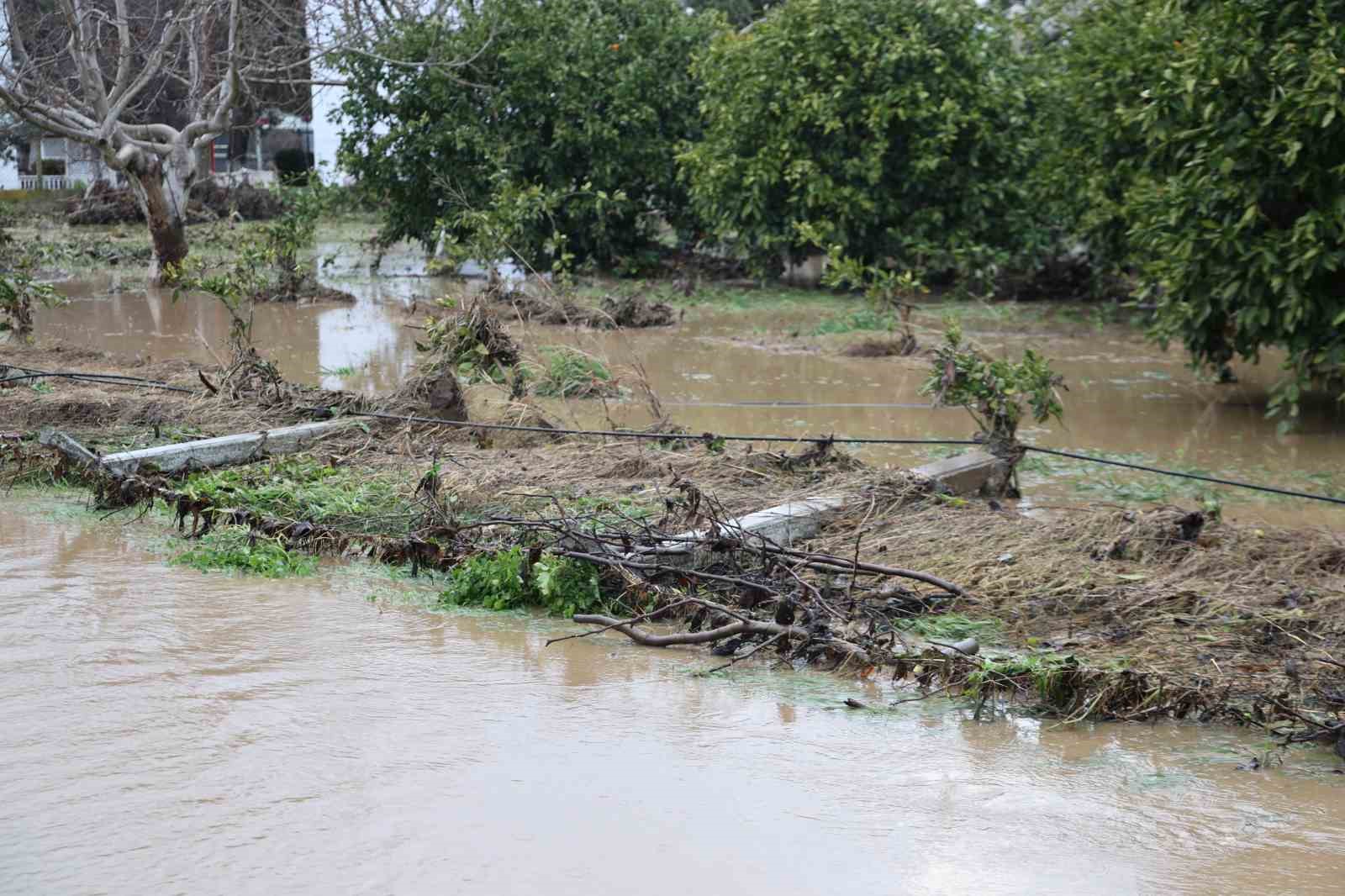 Kusadasinda Bahceler Gole Dondu Agaclar Sular Altinda Kaldi 07E708E931D300B8Ea919205A575D3Be