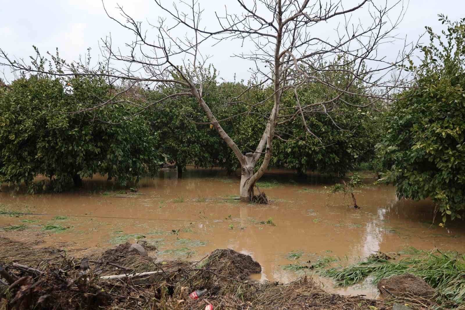 Kusadasinda Bahceler Gole Dondu Agaclar Sular Altinda Kaldi 7998079E368D3Cd39C6996Cd9Ef05257