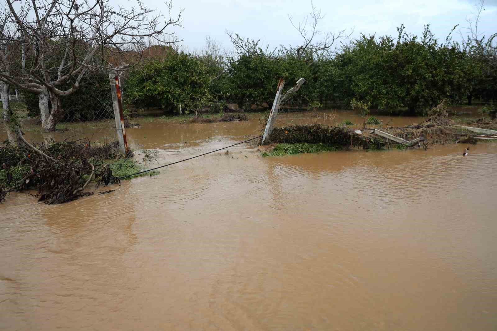 Kusadasinda Bahceler Gole Dondu Agaclar Sular Altinda Kaldi F95F9F3Cad6Eeb57F4988A8Bbab4255A