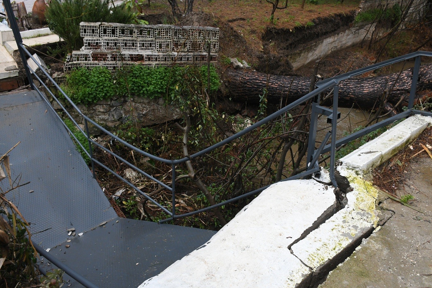 Kusadasinda Dereye Devrilen Cam Agaci Dere Yatagini Tikadi Belediye Ekipleri Seferber Oldu 7183Eee81Ba4B1F03Eb90Dca91B4D621