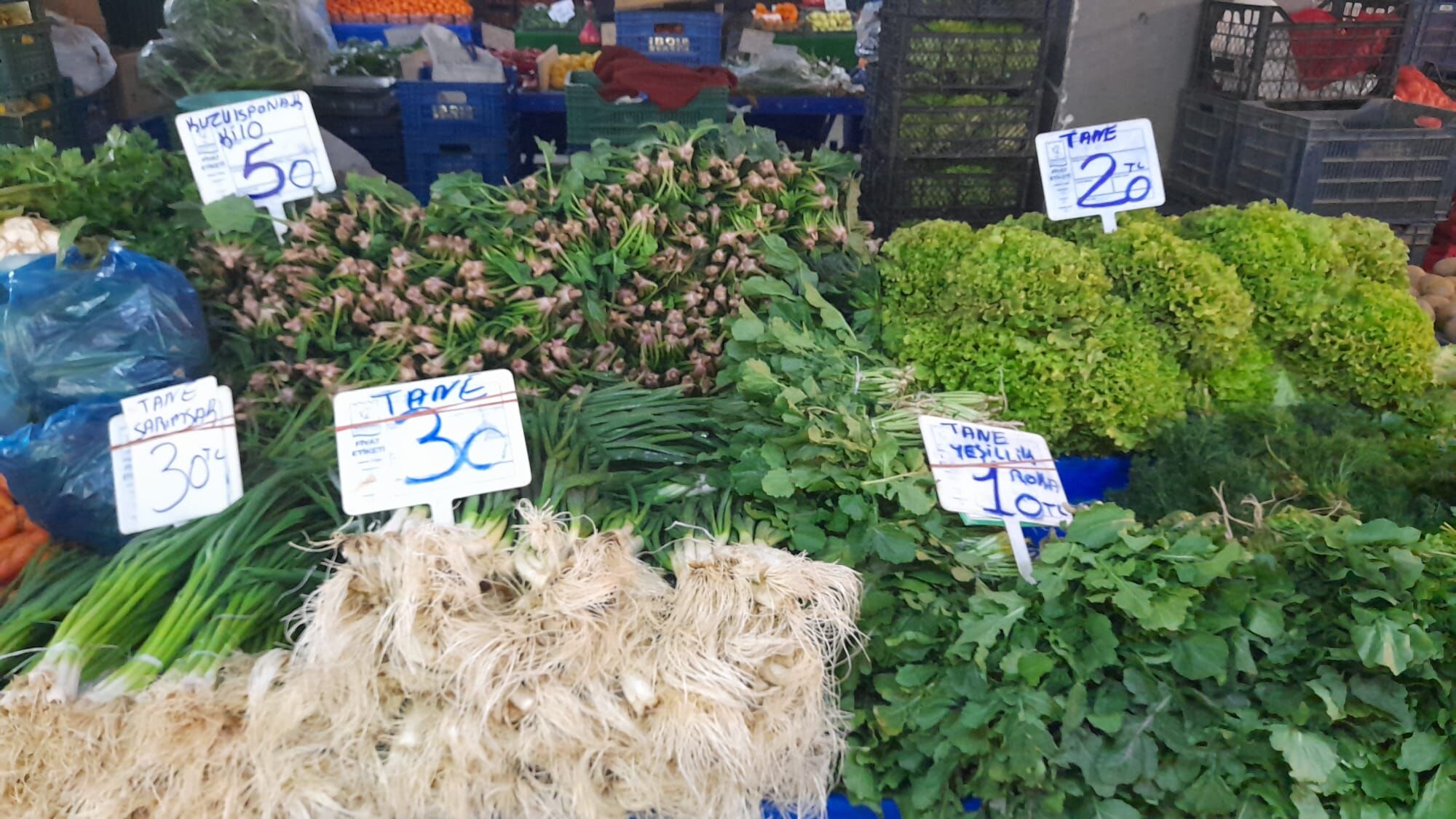 Kusadasinda Semt Pazarina Gunes Bereketiyle Geldi 634576 81B1F08A140Ce06A933D29C0B2166006