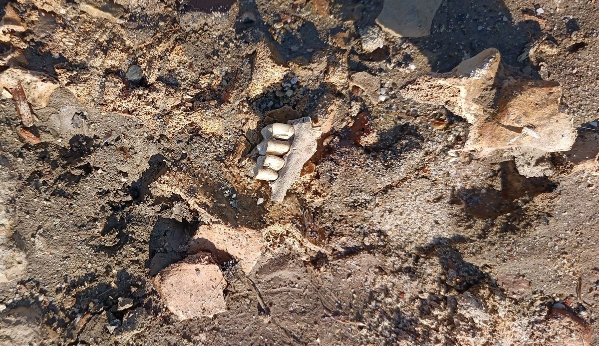 Kusadasinda Siddetli Firtina Tarihi Ortaya Cikardi Kadi Kalesinde Bizans Izleri Gun Yuzune Cikti 631135 04Dbe77F130De093006F017Fcd04F8F3