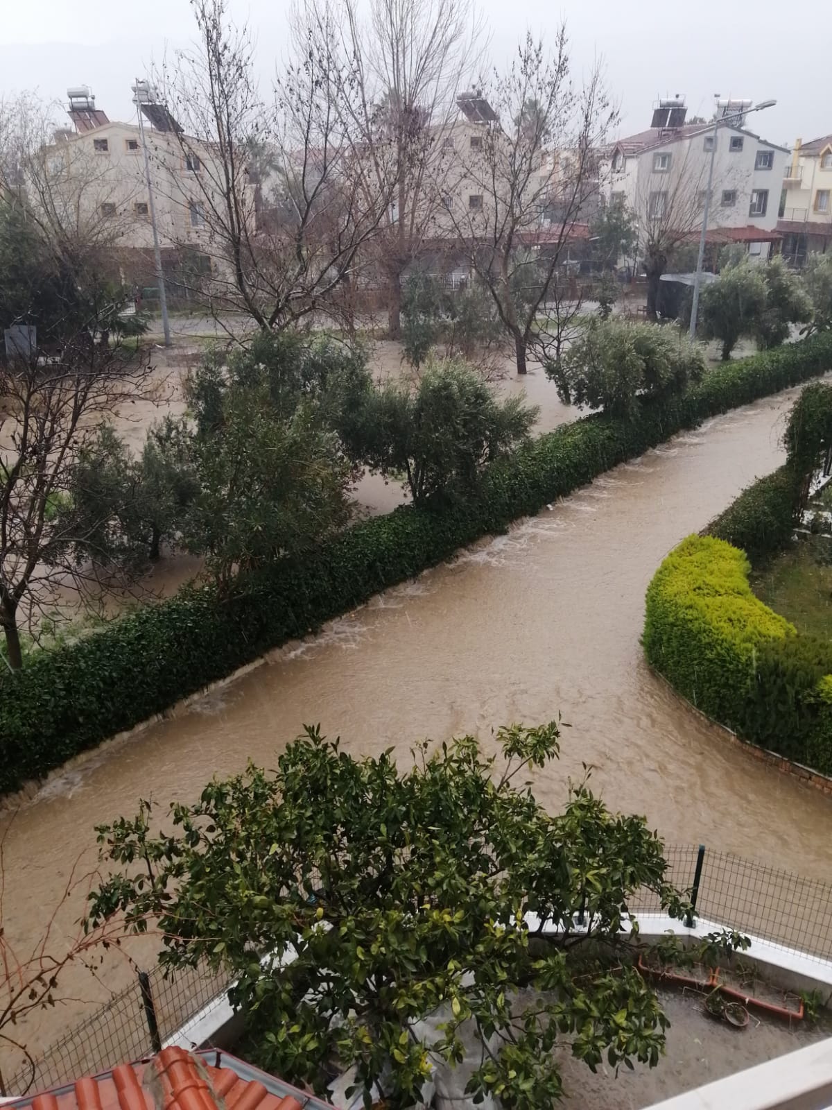 Kusadasinda Siddetli Yagmur Korku Yasatti 632558 0B219Cfbd77A0308E199C315C391796F