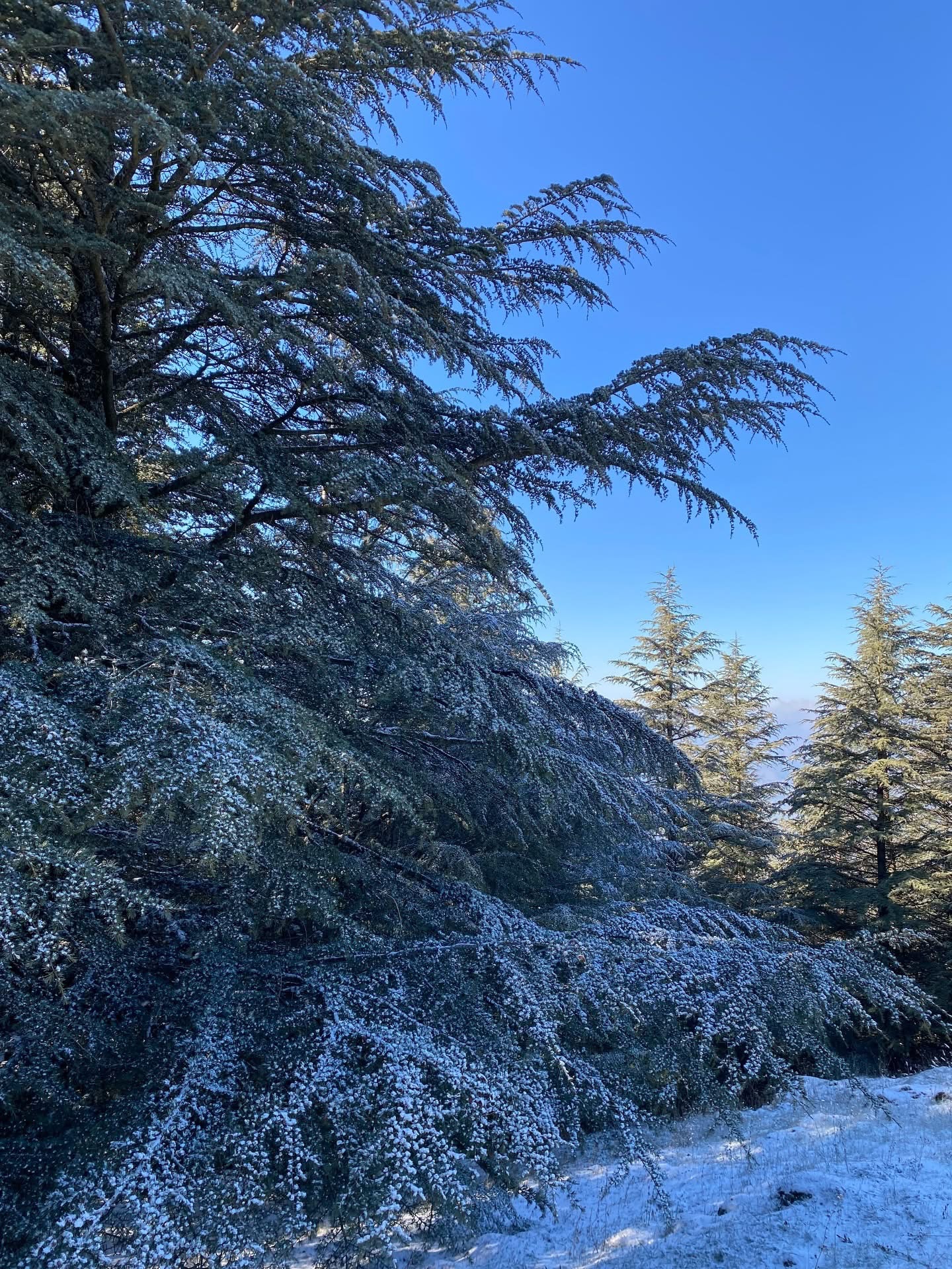 Nazilli Beyaza Burundu Ortaya Cikan Goruntuler Mest Etti 629107 2Efe5Fba2Ecd42D648Afb6B88Fa12524