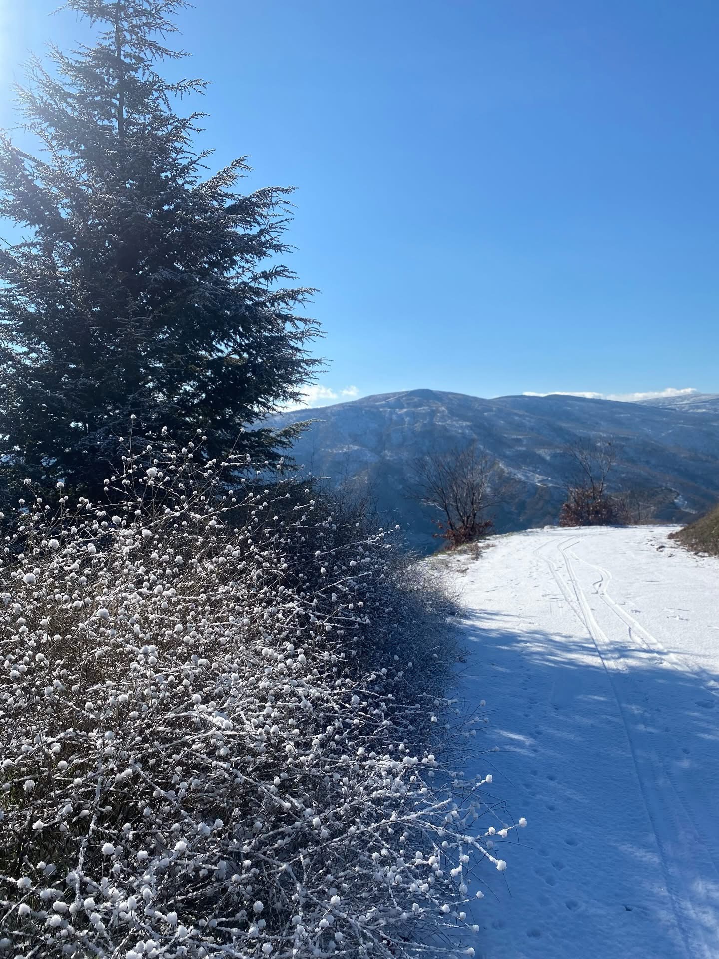 Nazilli Beyaza Burundu Ortaya Cikan Goruntuler Mest Etti 629107 C34084C2847C2966608B7F636E5E6Cc2