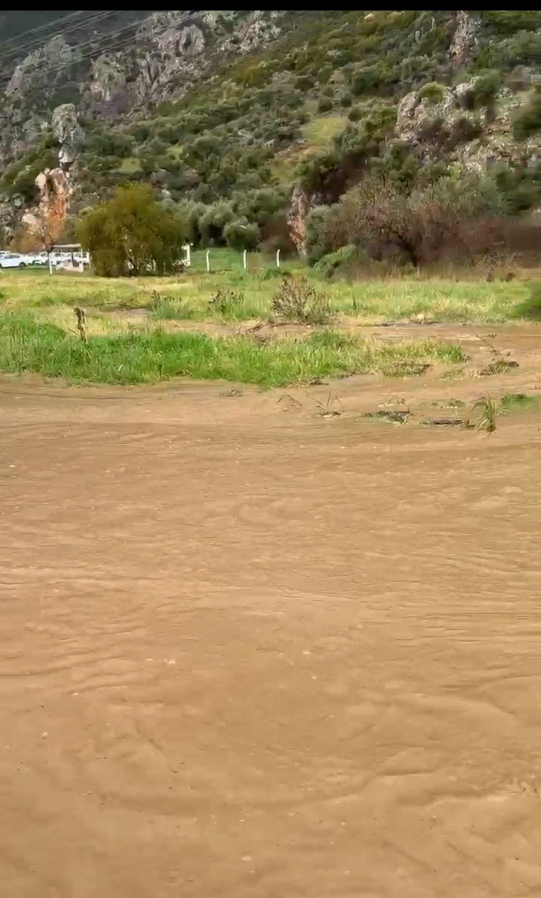 Soke Selle Bogusuyor 632514 Ca3C55717B6E276E003Bfe6Ec8485A7D