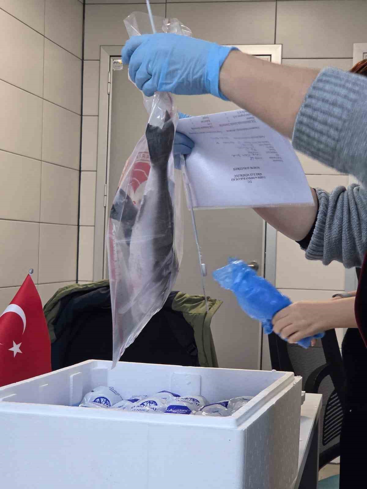 Sokede 2025 Yilinda 2 Bin 507 Isletme Denetlendi 1837Bb7Ffcefaa8Cc4C72Abff15A93F0