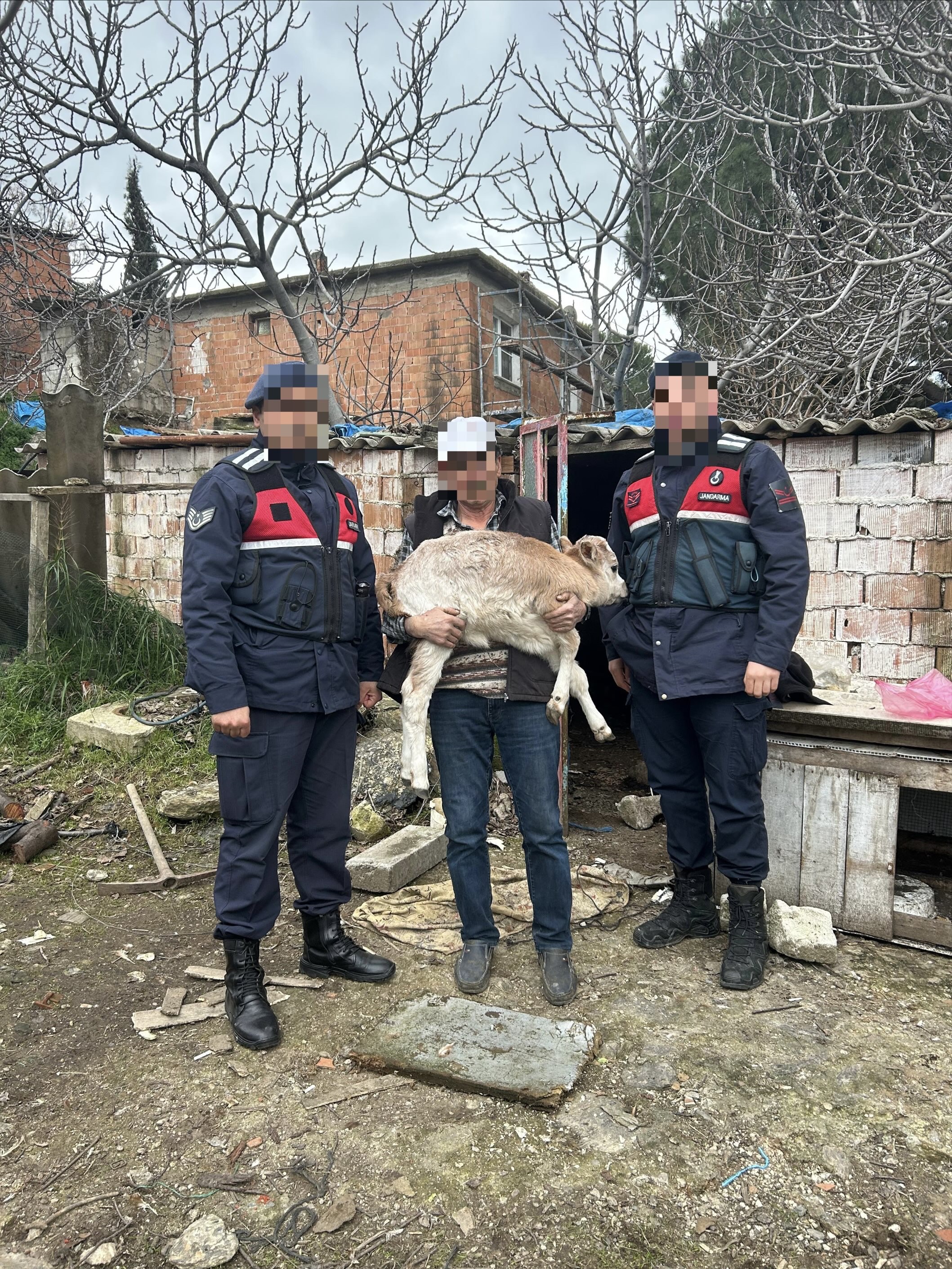 Sokede Hayvan Hirsizi Ruhsatsiz Tabancalarla Yakalandi 632812 43C4De4Bf07Bd6Dc8Ce46C87Cecf3539