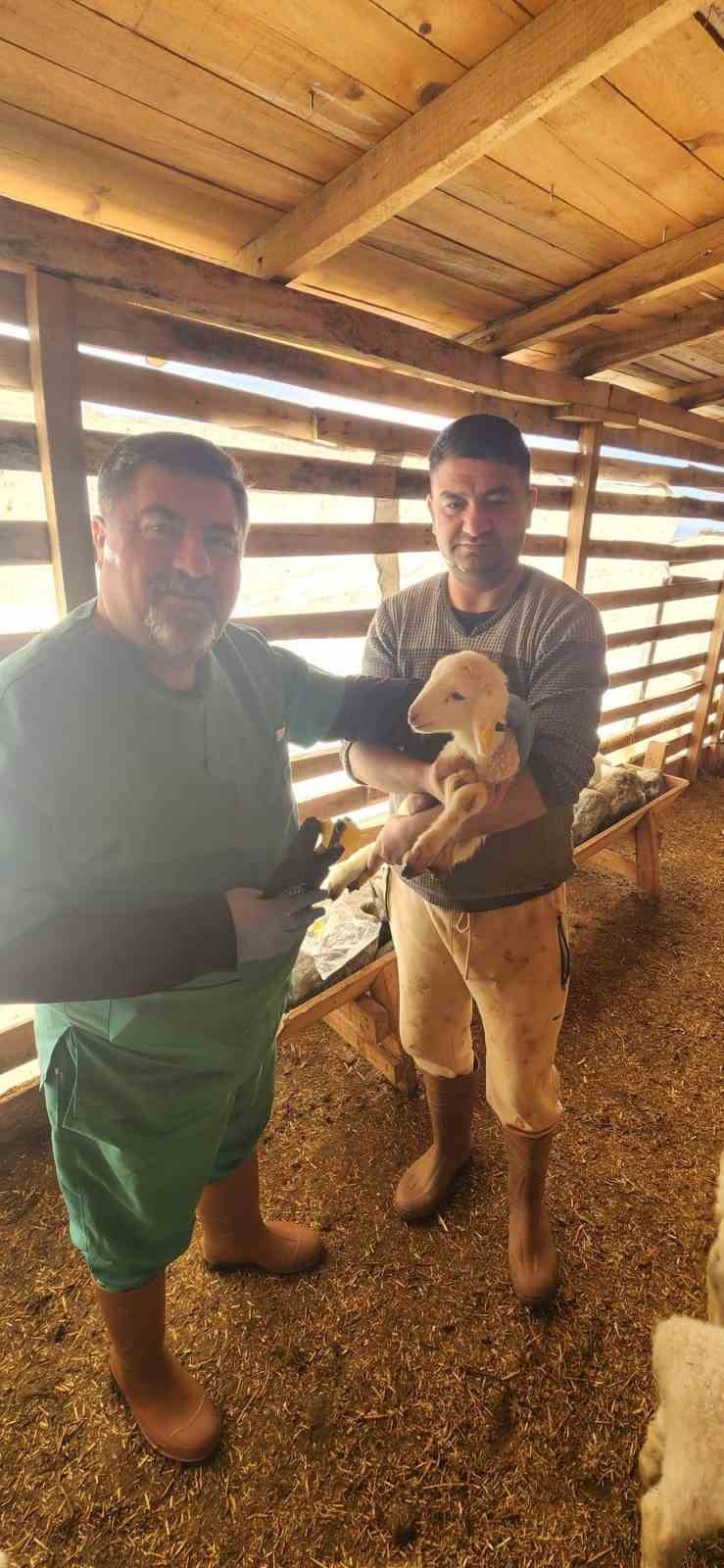 Tarim Mudurlugunden Sazlida Hayvan Sagligi Mesaisi F4Eece1Ca218Ea1Aa4F1Eb0Fcc2A1559