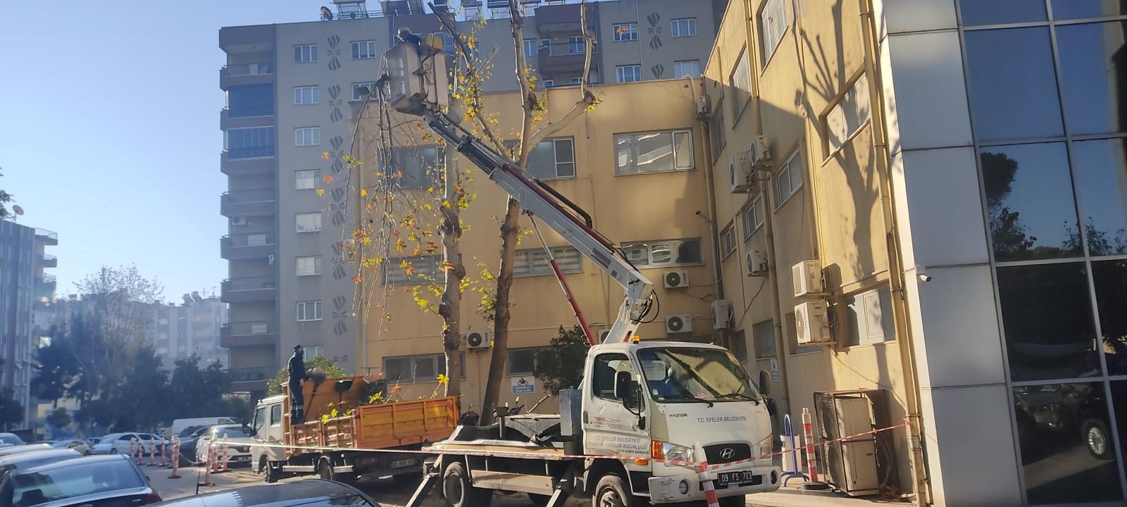 Whatsapp Image 2026 01 02 At 11.41.01 (1)