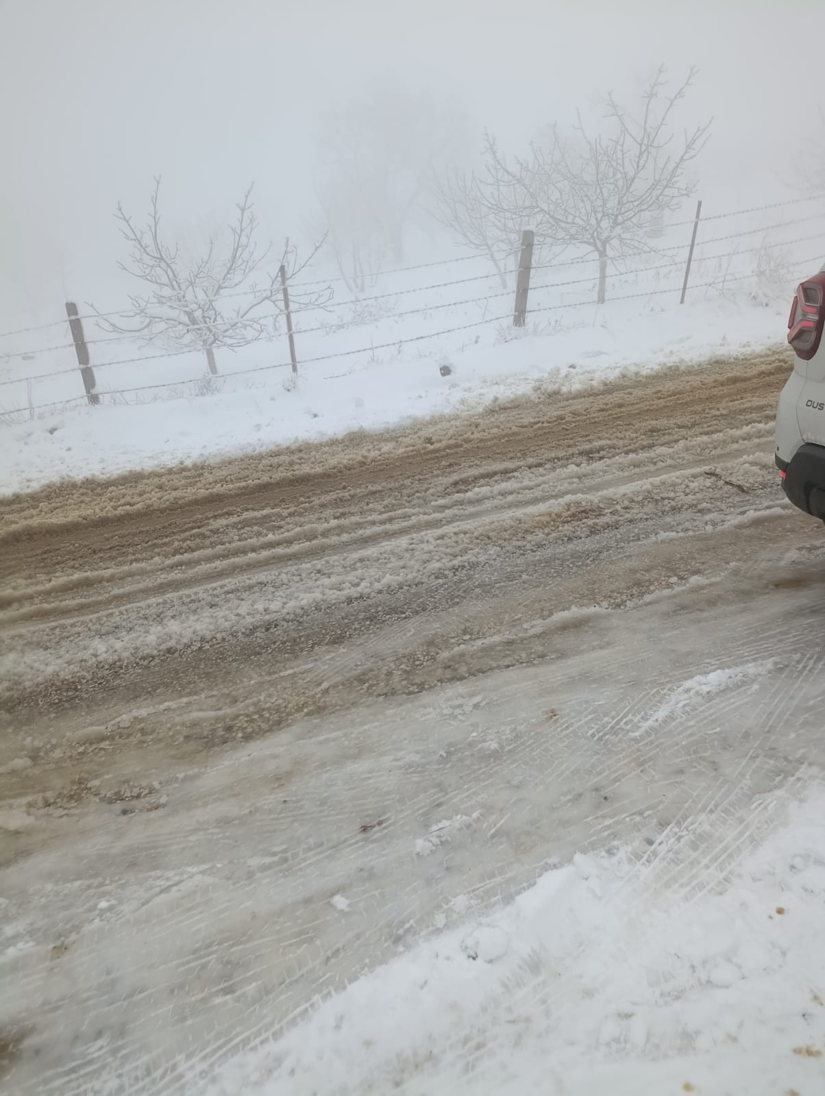 Whatsapp Image 2026 01 12 At 17.17.03 (1)