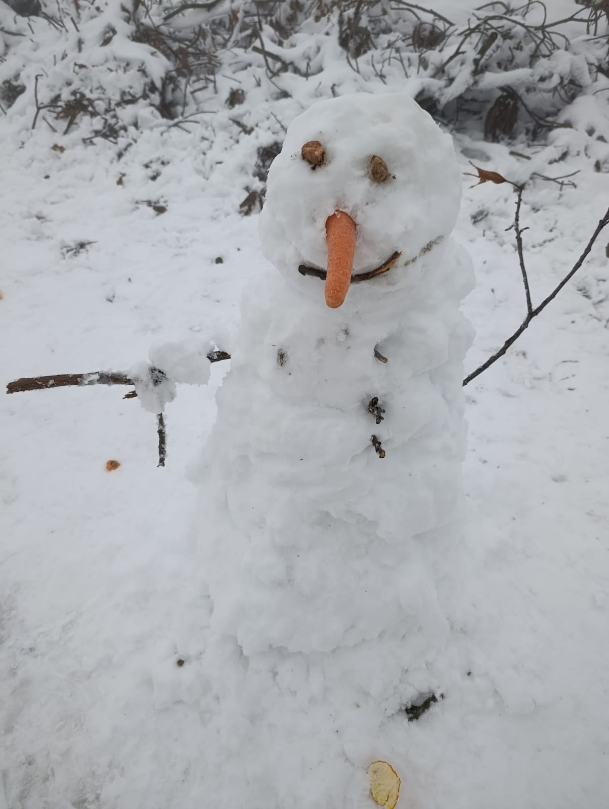 Whatsapp Image 2026 01 12 At 17.17.03