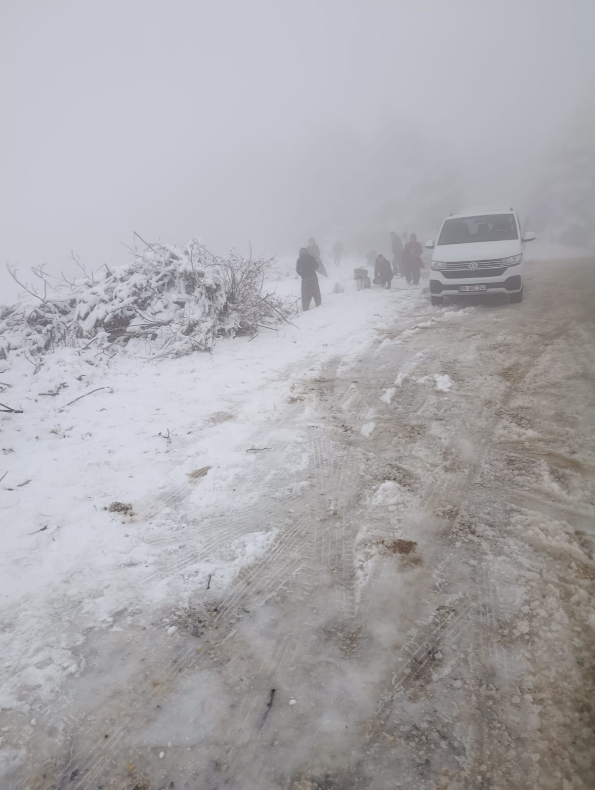 Whatsapp Image 2026 01 12 At 17.17.04