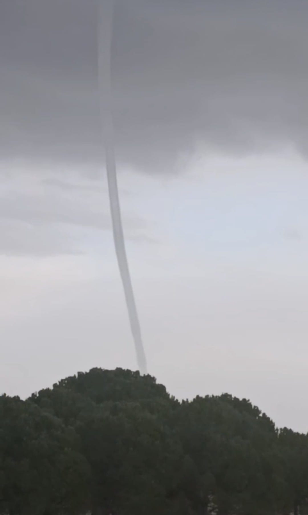 Whatsapp Image 2026 01 22 At 19.04.16 (2)