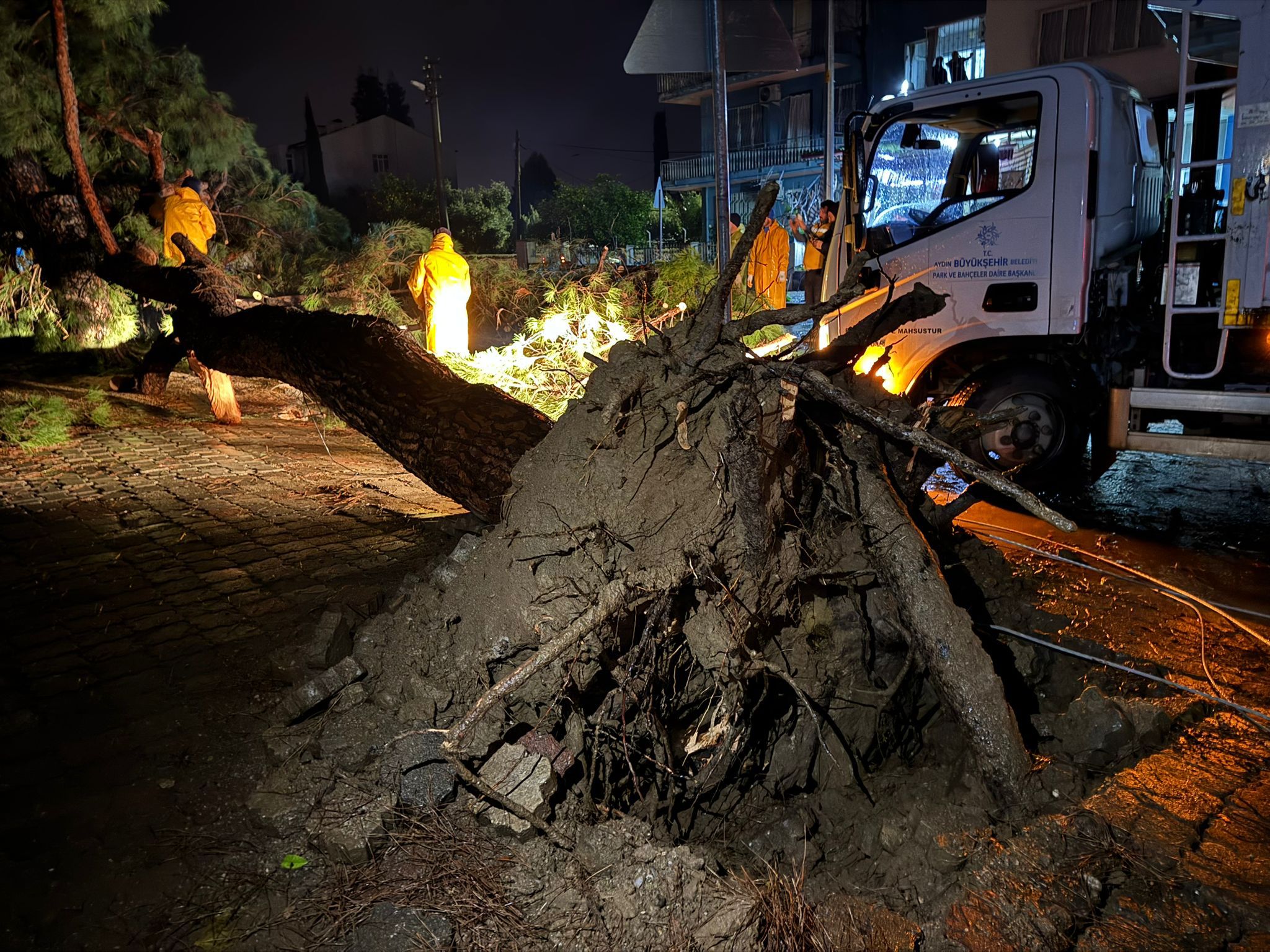 Whatsapp Image 2026 01 26 At 20.49.52