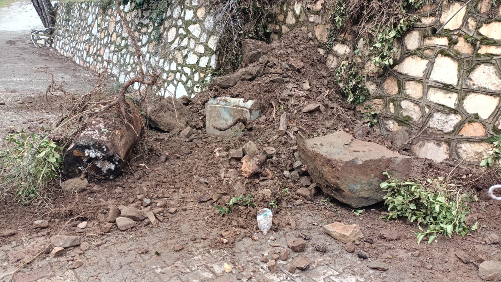 Whatsapp Image 2026 01 29 At 12.53.43