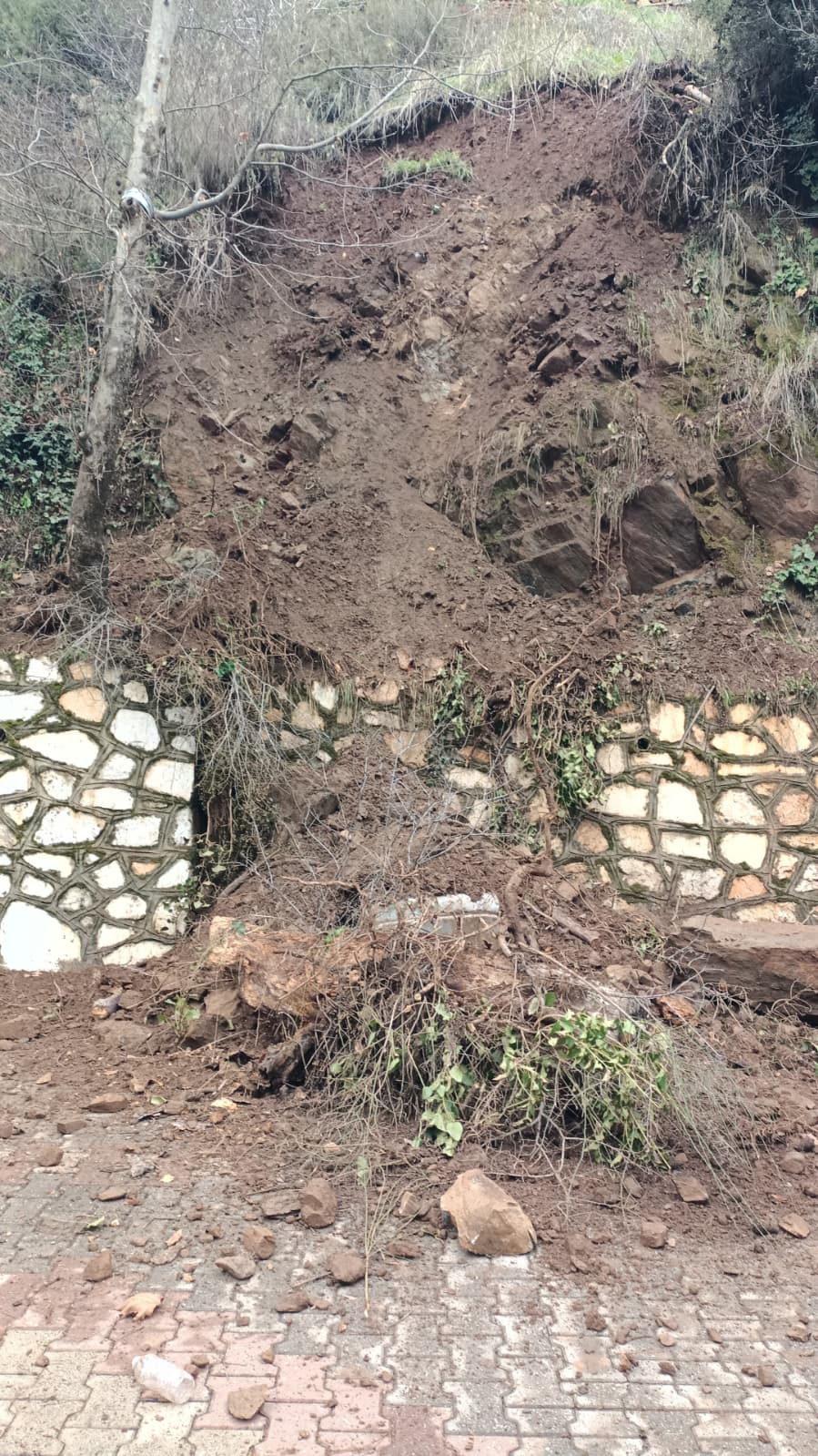 Whatsapp Image 2026 01 29 At 12.53.44