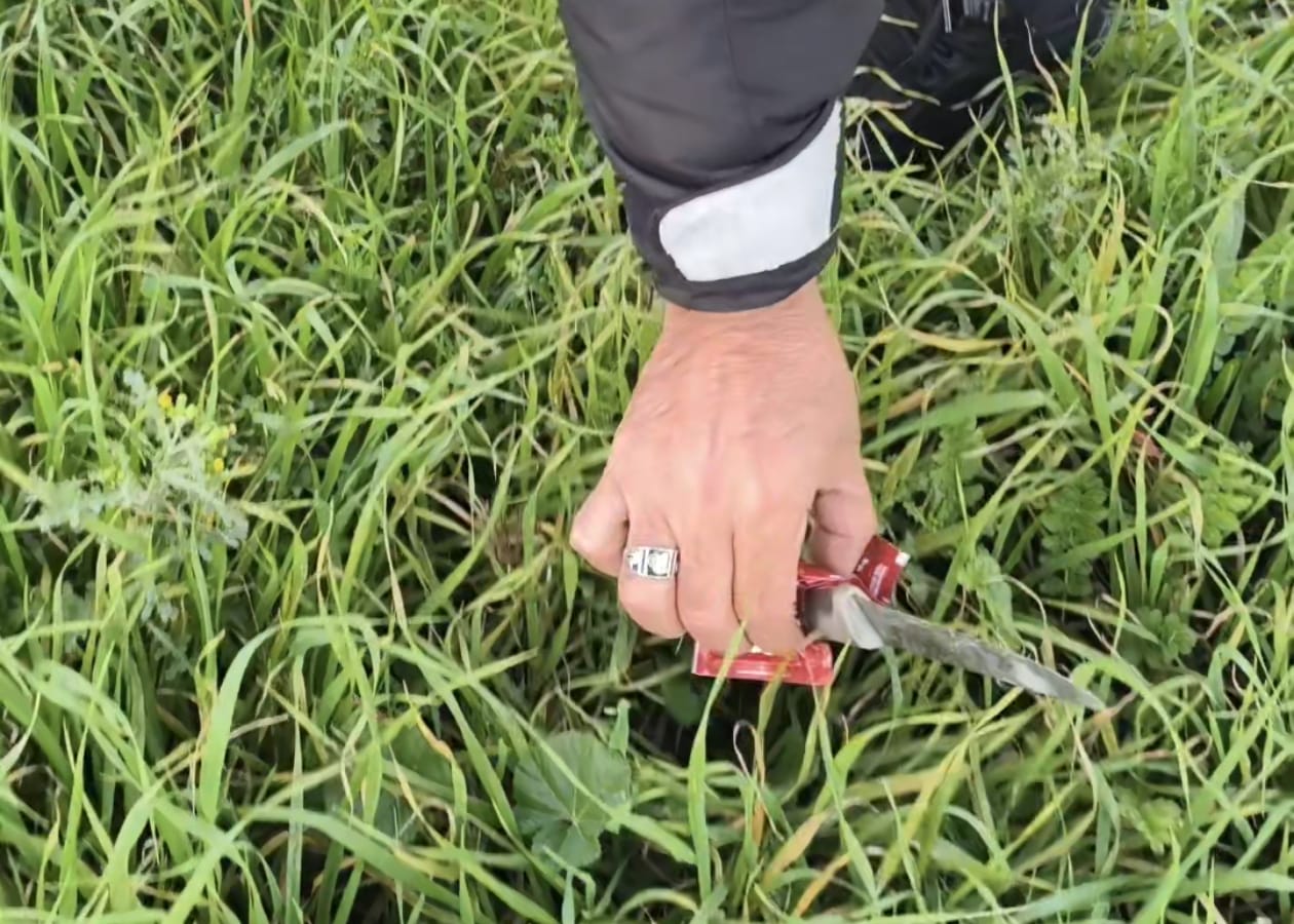 Whatsapp Image 2026 01 31 At 19.11.58