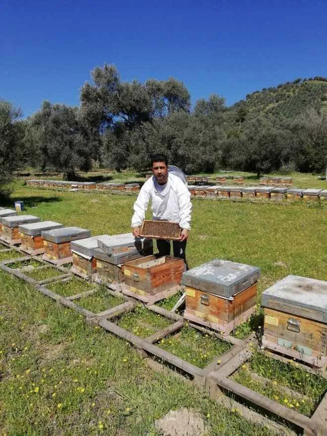 A 638048 Dc8A0434342F30D41E8891D1C0D78Ace