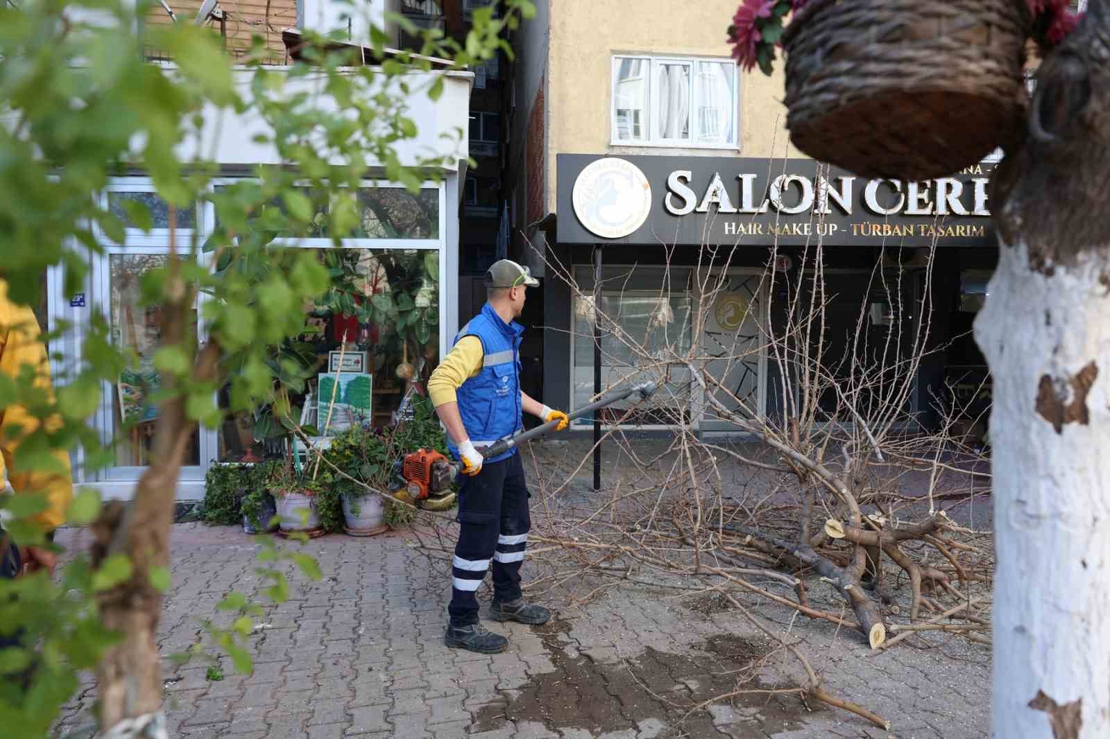 Aydin Buyuksehir Belediyesinden Efelerin Yesil Alanlarina Bakim B043552B18766E9F99622759Fa13Feba