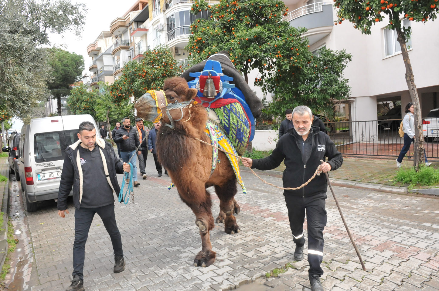 Aydinda Deveciler Ayaklandi Deveyle Il Mudurlugune Yuruduler 636689 2003E7Dcd9477B59E697Dec63854030D