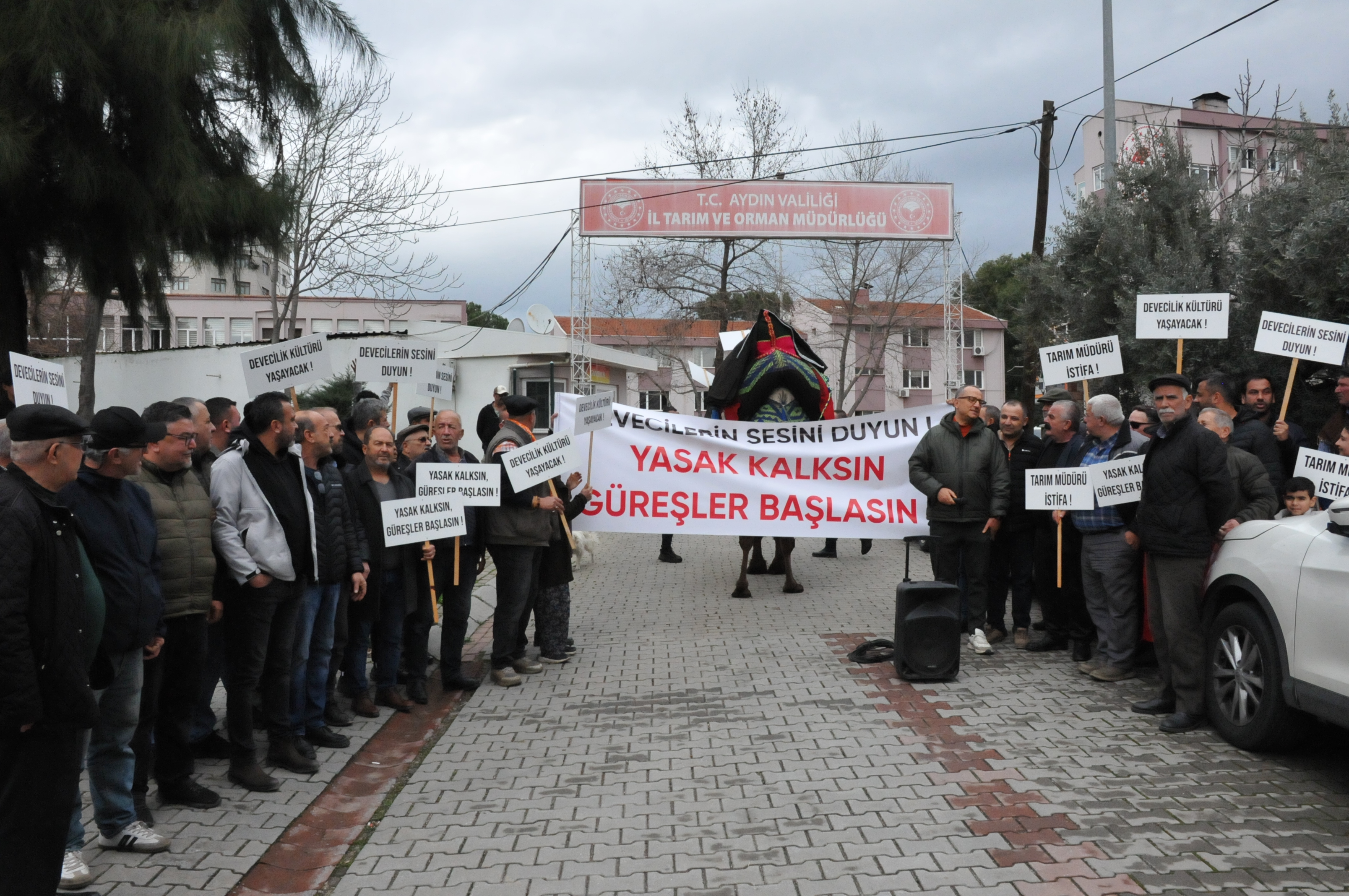 Aydinda Deveciler Ayaklandi Deveyle Il Mudurlugune Yuruduler 636689 D3E712B964Aa4A66138Dcb0F281Aefa2