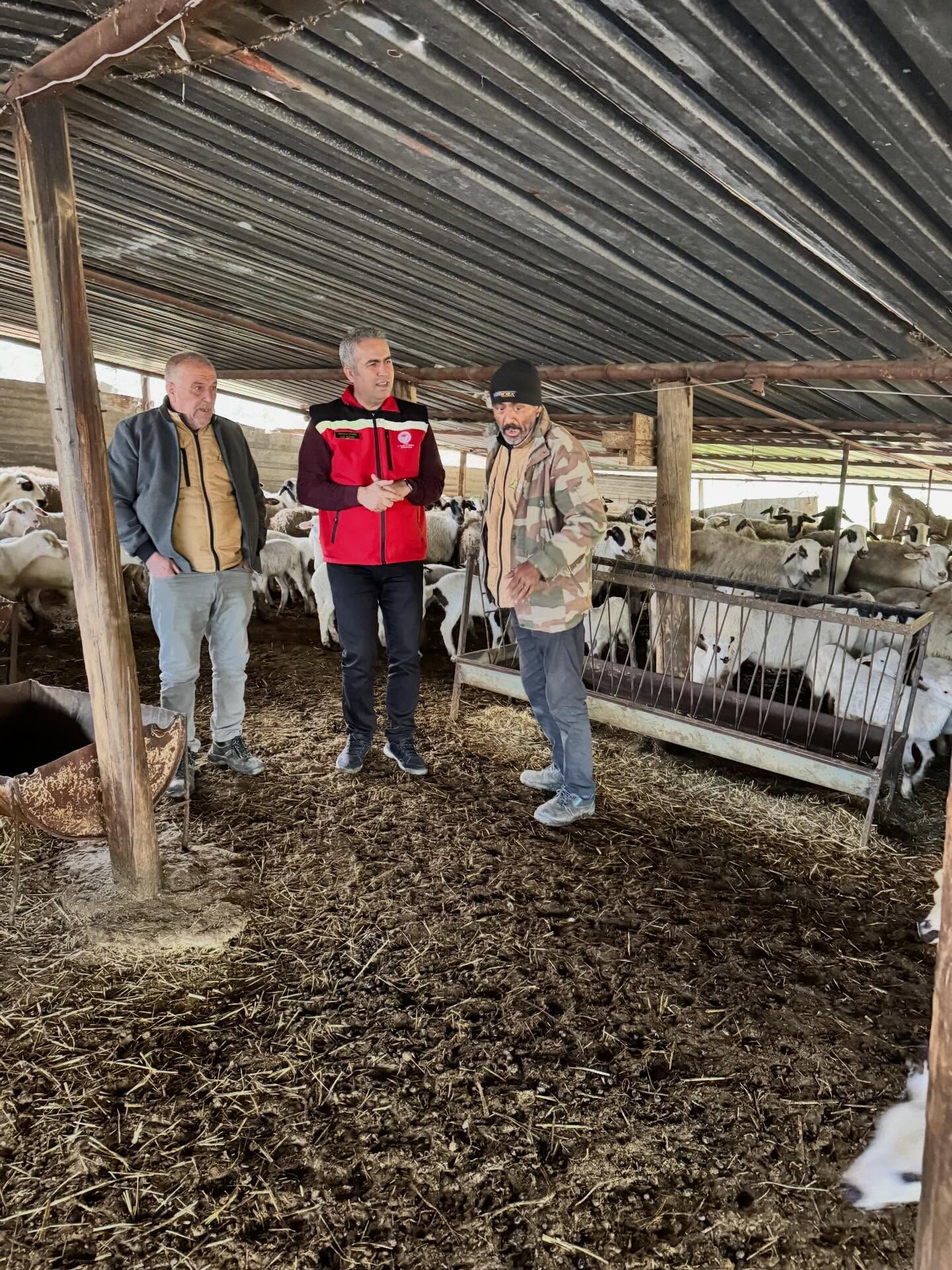 Aydinda Kucukbas Hayvanciliga Destek Geliyor 642528 10F1F13133D51239078E697E6285Ee52