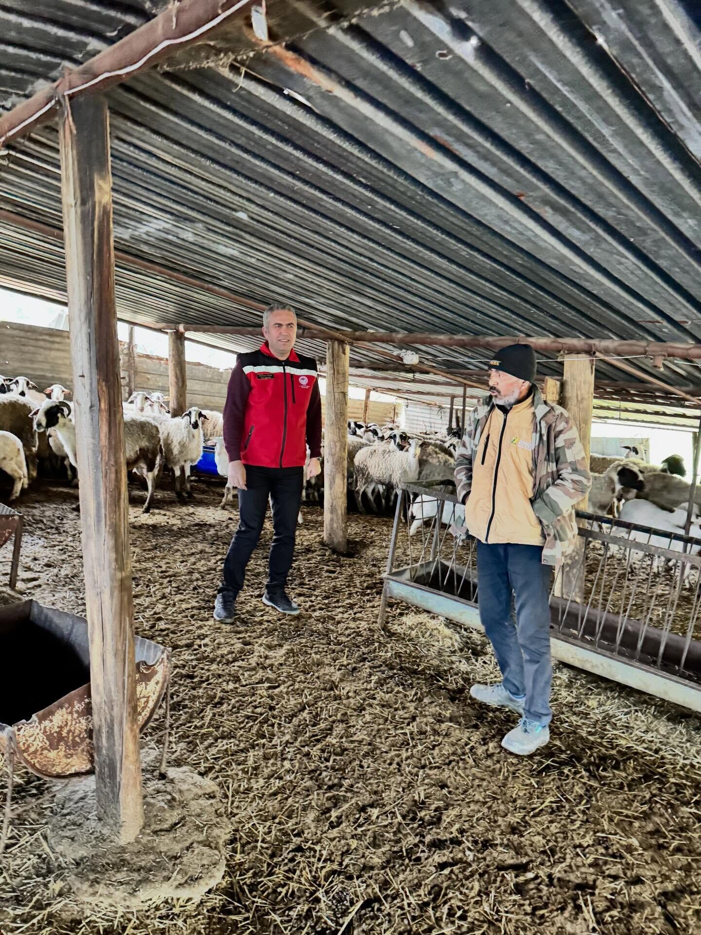 Aydinda Kucukbas Hayvanciliga Destek Geliyor 642528 463F8A754Ee08Ed8Ab19C688714Bb117