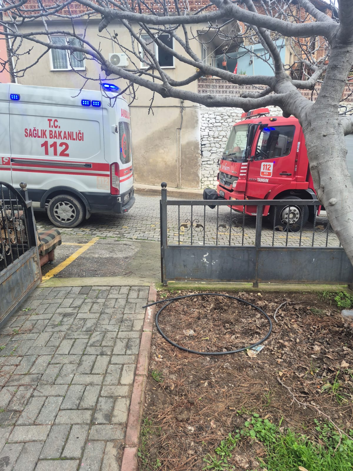 Bozdoganda Agac Devrildi Babaanne Ve Torunu Olumden Dondu 637460 F5C2E5E232F7A6Fb5Dae4159D0805464