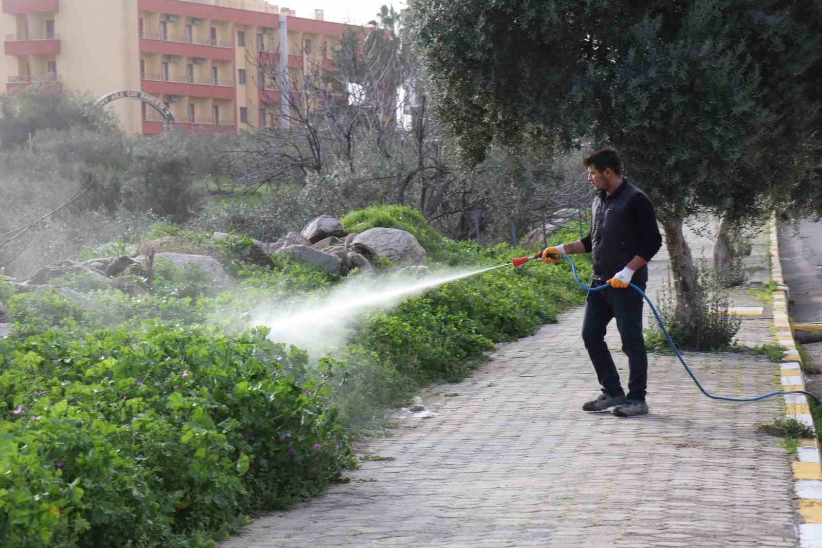 Bozdoganda Yabani Ot Mucadelesi 1C5A278E1C7896C2B98F627D7D626B69