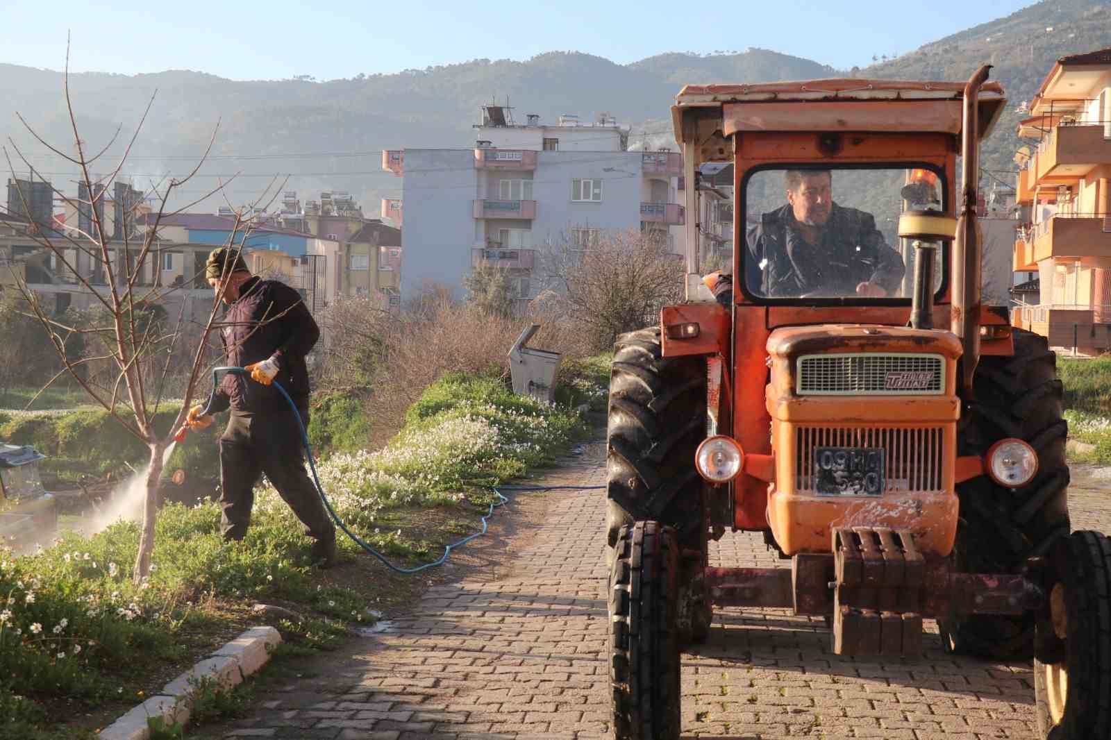 Bozdoganda Yabani Ot Mucadelesi 30Cb2C4A2Bf9B62D8E4Bf3Cb881Dcf51