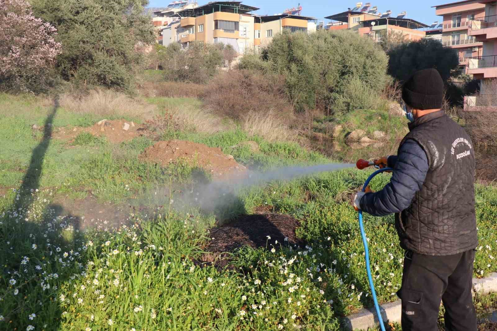 Bozdoganda Yabani Ot Mucadelesi C5Fcbe7728F823Ad988B8C2F9843C309