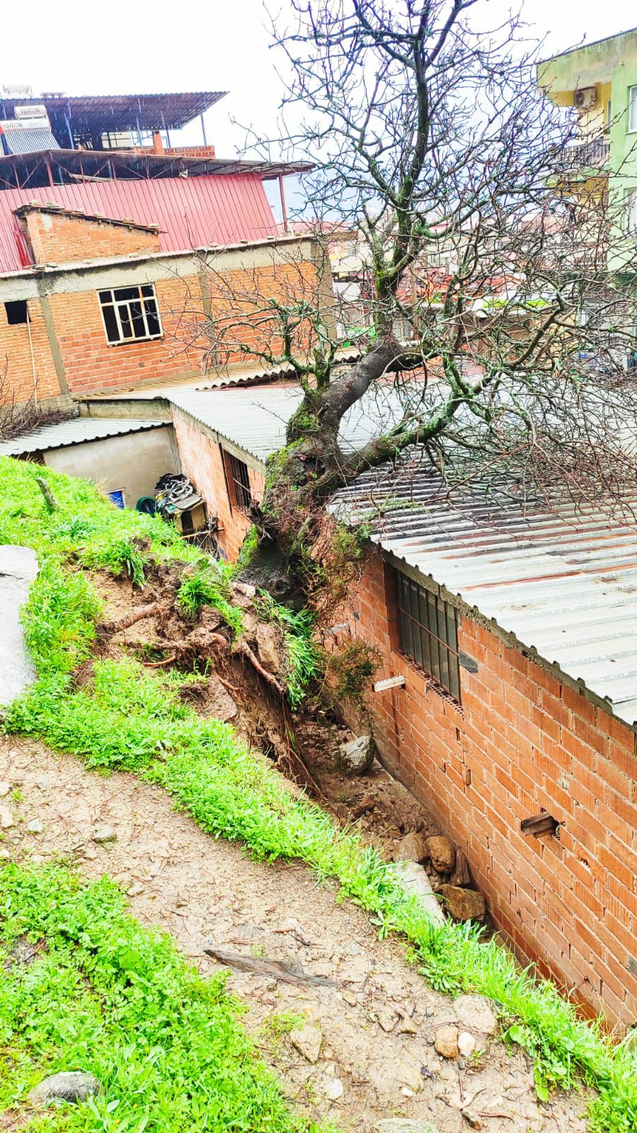 Bozdoganda Yagisin Izleri Siliniyor Ekipler Sahada 639404 F2D79F68238A0F31359Dbb5553Be26B8