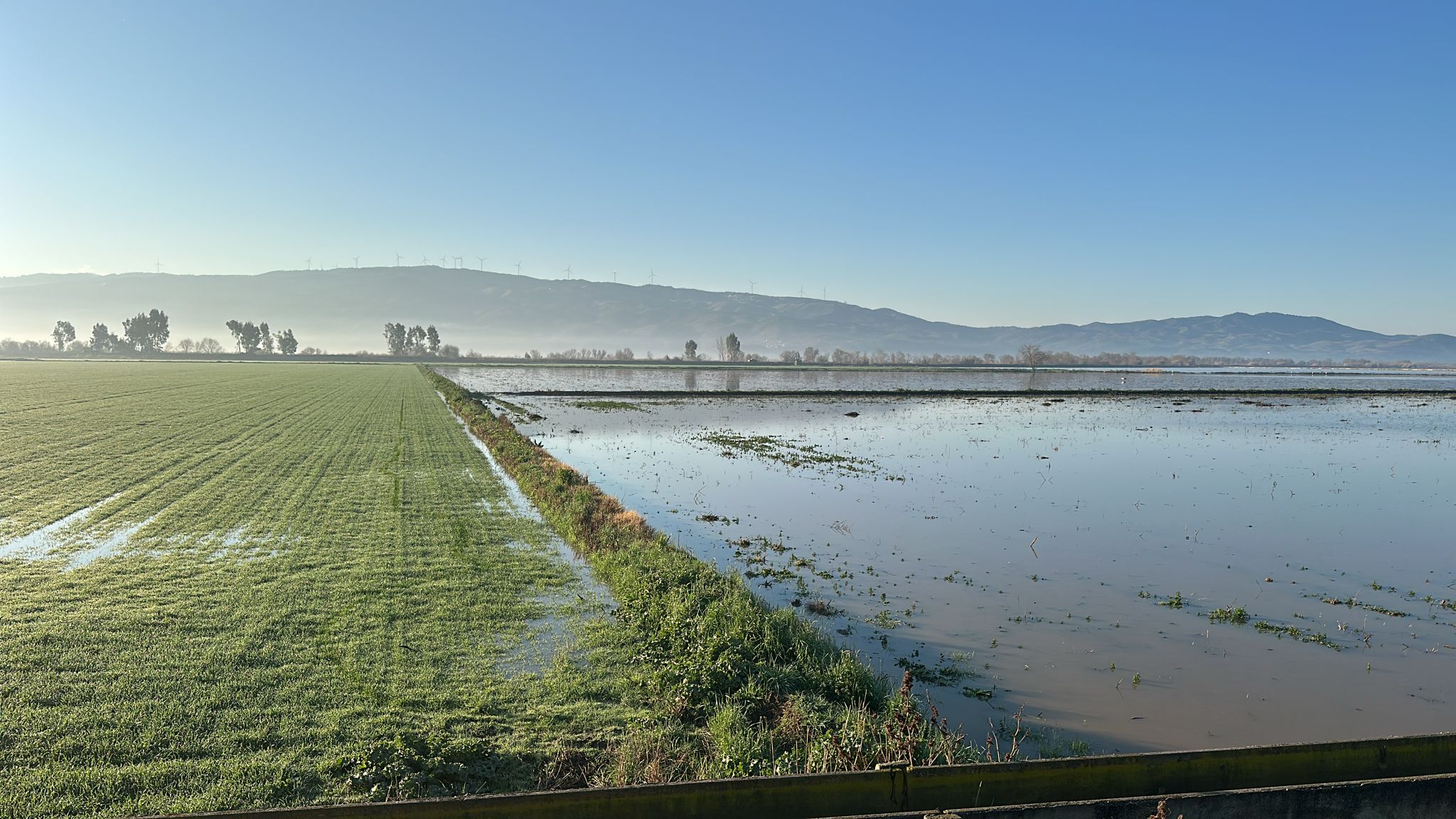 Buyuk Menderes Tasti Binlerce Donum Tarim Arazisi Sular Altinda Kaldi 635581 2F82Be1B2663B38894583Ec88F9D48Aa