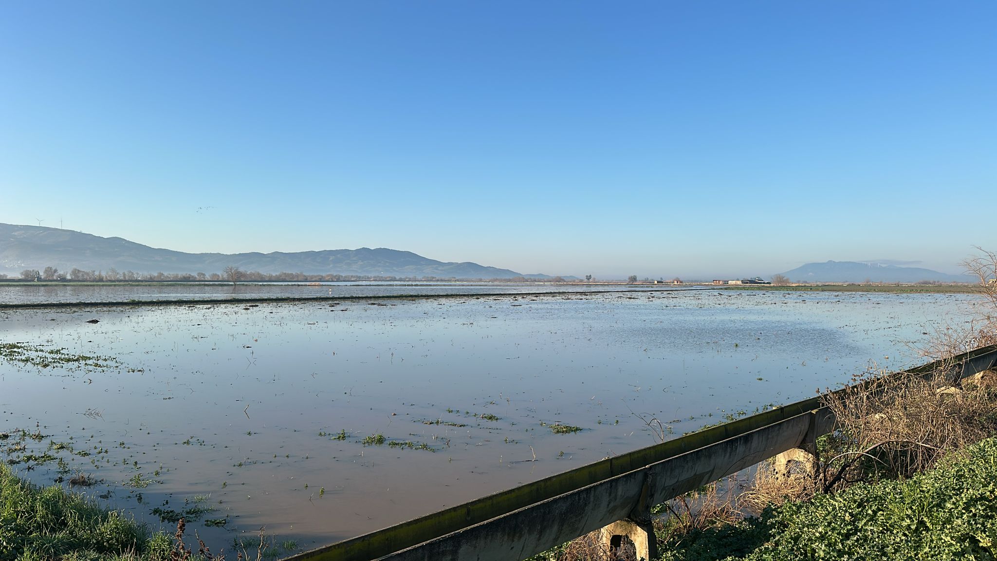 Buyuk Menderes Tasti Binlerce Donum Tarim Arazisi Sular Altinda Kaldi 635581 94E7C86941F55Dbd5Dd01Eb0831Edd47