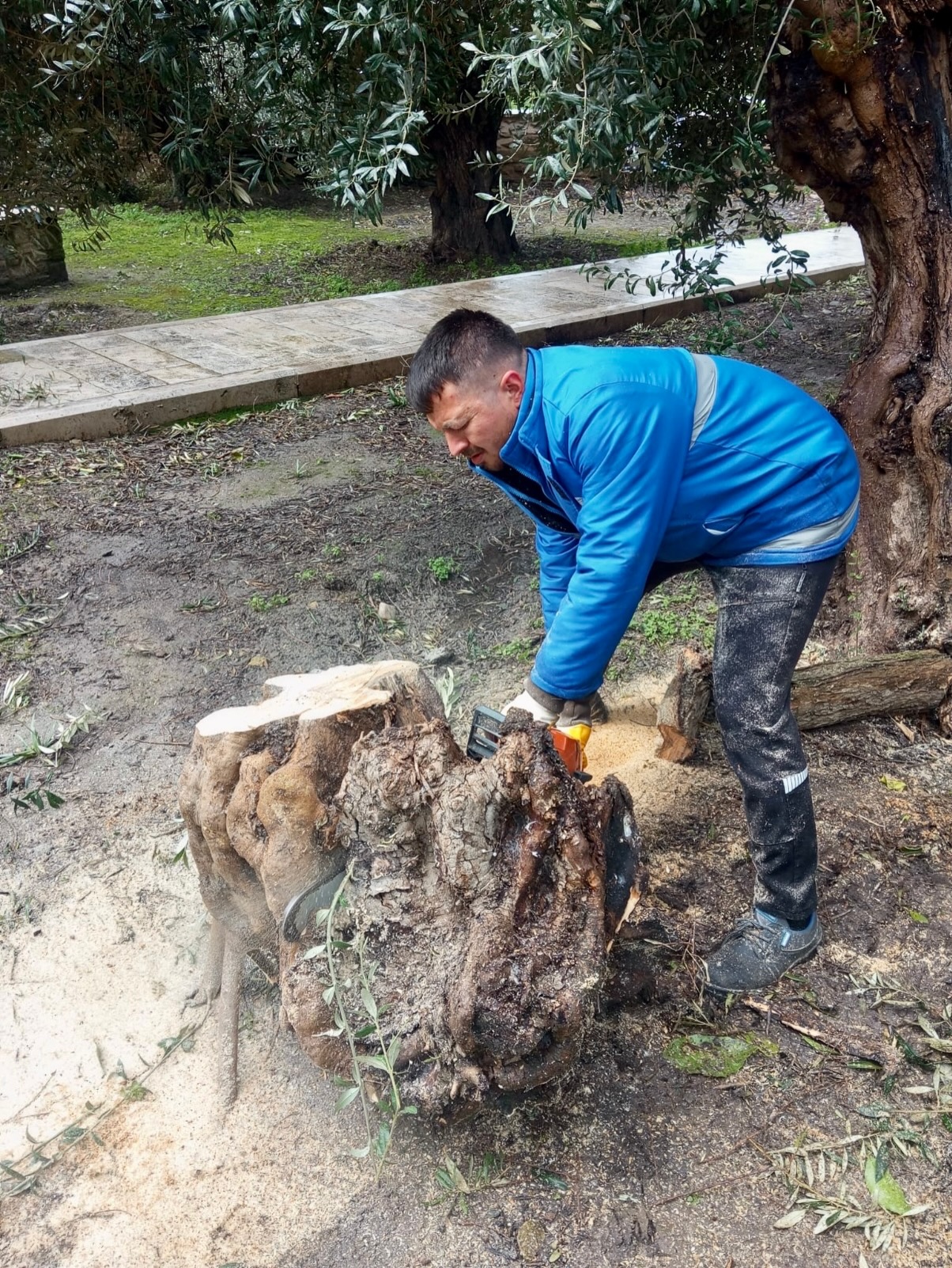 Cine Belediyesinden Onlem Guvenlik Tehdidi Olusturuyordu 640581 656804Ddb433948C2B94E45Fb760B215