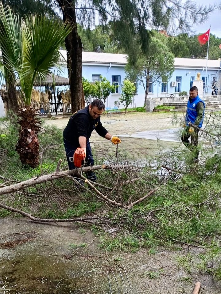 Cine Belediyesinden Onlem Guvenlik Tehdidi Olusturuyordu 640581 8Cc05277509624A688C4Aa12D9E986Ec