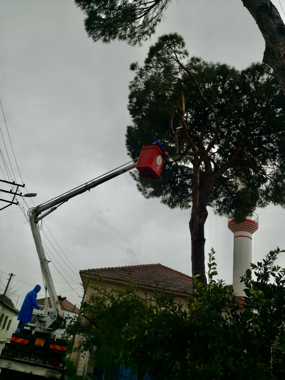 Cine Belediyesinden Onlem Guvenlik Tehdidi Olusturuyordu 640581 D283674F0091D7291F4Bd18D01F3D6E1