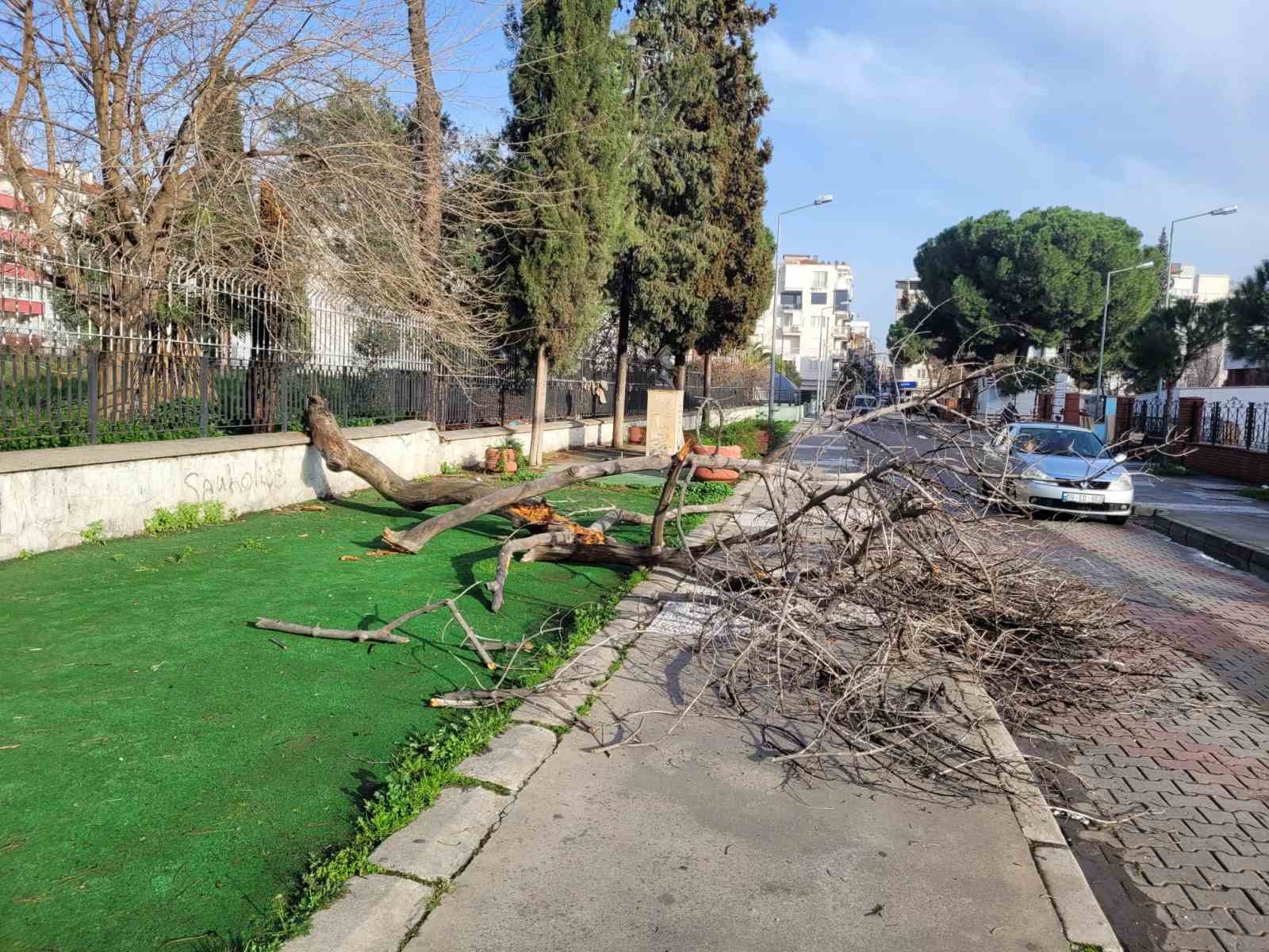 Curuyen Agac Yola Devrildi Facia Ucuz Atlatildi 5185Cc769Fc6C5Beb8Aa4F5799D8D23A