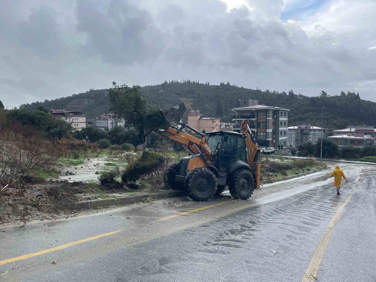 Dagdan Kopan Zeytin Agaci Karayolunu Ikiye Boldu 82Dbec7D22B77502A3D16F805E0D9470